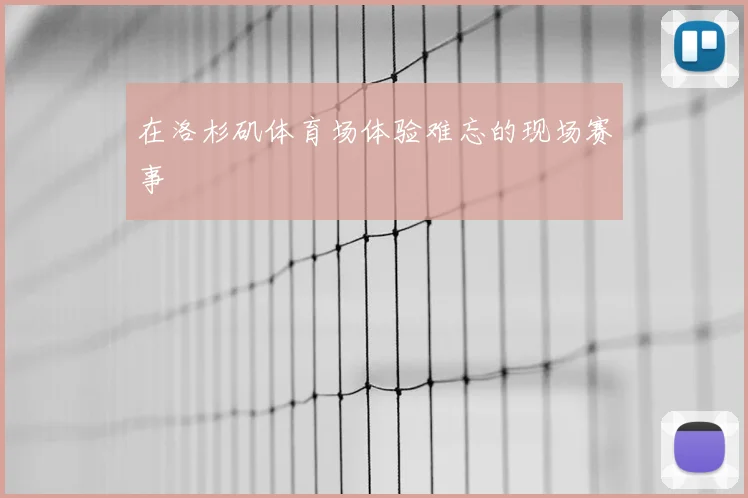 在洛杉矶体育场体验难忘的现场赛事